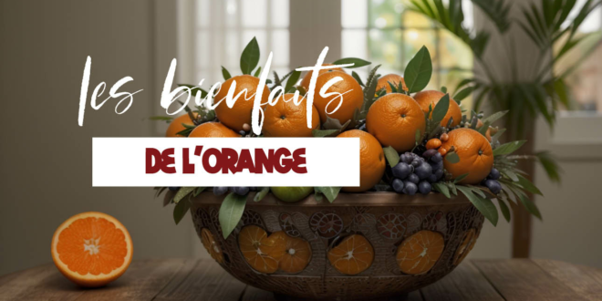 Tout savoir sur les bienfaits de l'orange sur la santé